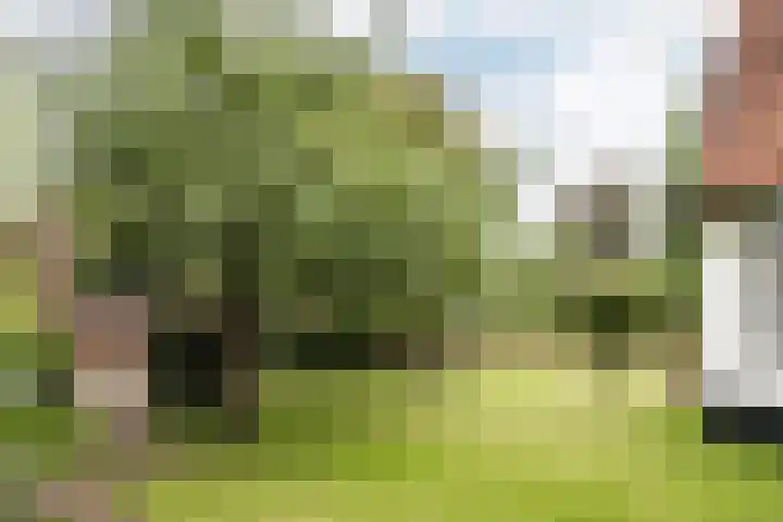 Brederoodseweg 35 Santpoort-Zuid thumbnail 36