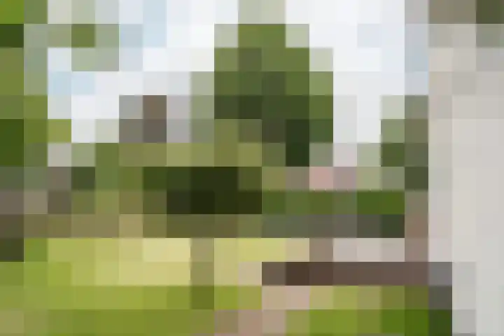 Brederoodseweg 35 Santpoort-Zuid thumbnail 37