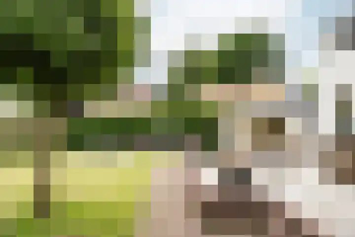 Brederoodseweg 35 Santpoort-Zuid thumbnail 38