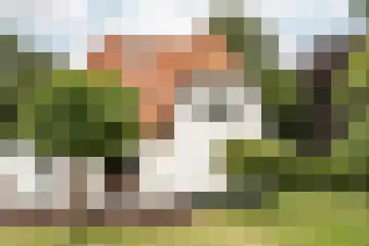 Brederoodseweg 35 Santpoort-Zuid thumbnail 4
