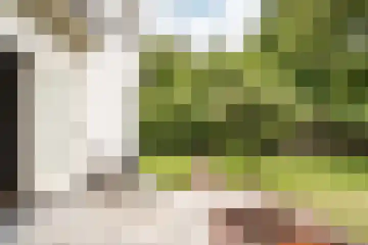 Brederoodseweg 35 Santpoort-Zuid thumbnail 8