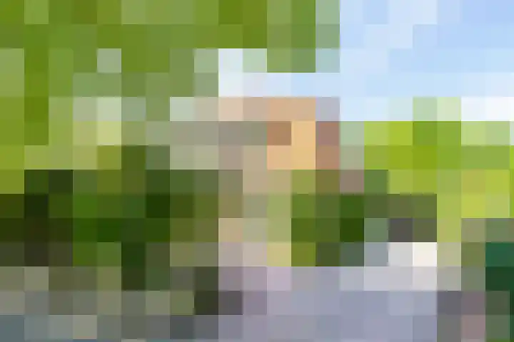Brederoodseweg 63 Santpoort-Zuid thumbnail 51