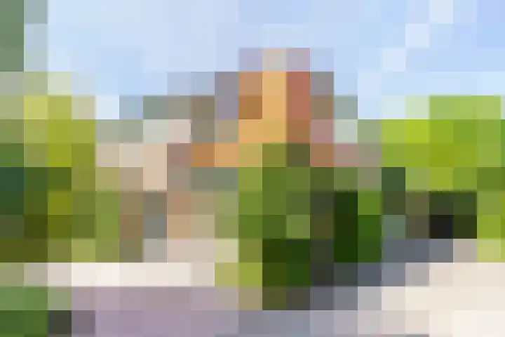 Brederoodseweg 63 Santpoort-Zuid thumbnail 6