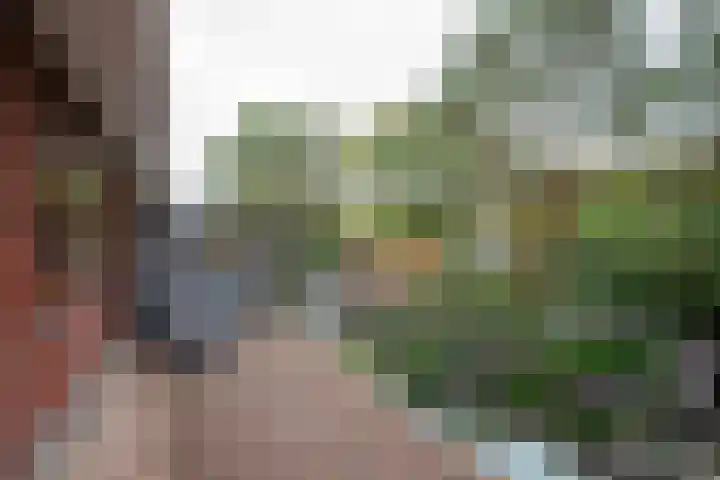Brederoodseweg 68 Santpoort-Zuid thumbnail 31