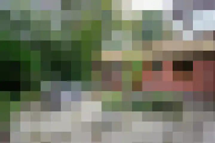 Brederoodseweg 68 Santpoort-Zuid thumbnail 38