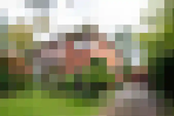 Brederoodseweg 68 Santpoort-Zuid thumbnail 5