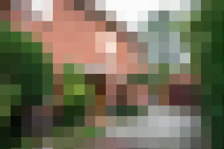 Brederoodseweg 68 Santpoort-Zuid thumbnail 6