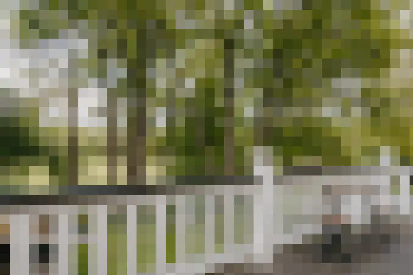 Brederoodseweg 79 Santpoort-Zuid thumbnail 32