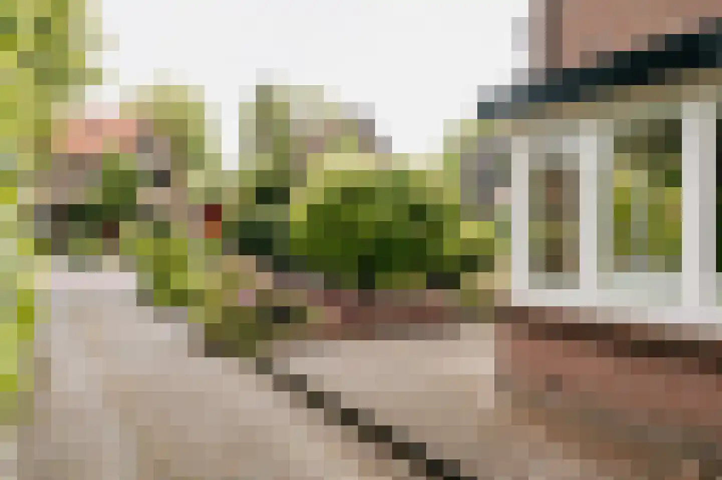 Brederoodseweg 79 Santpoort-Zuid thumbnail 8