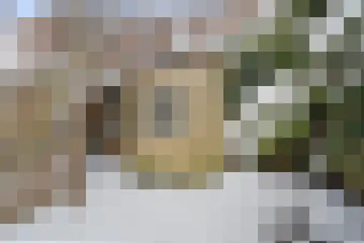 Brederoplein 3 Utrecht thumbnail 4