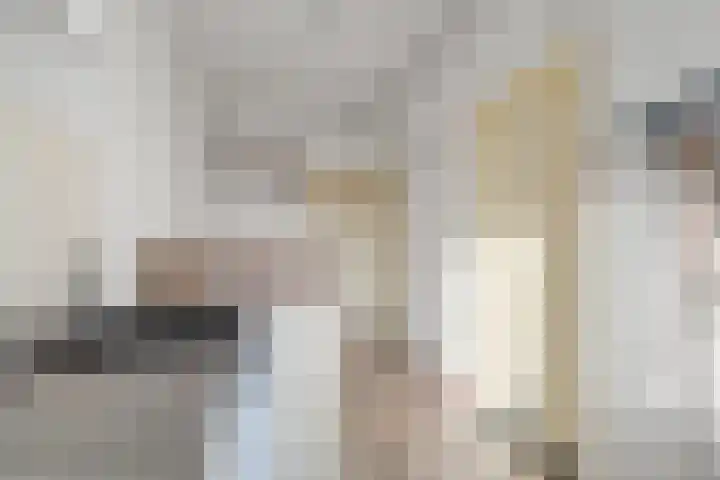 Brederoplein 3 Utrecht thumbnail 53
