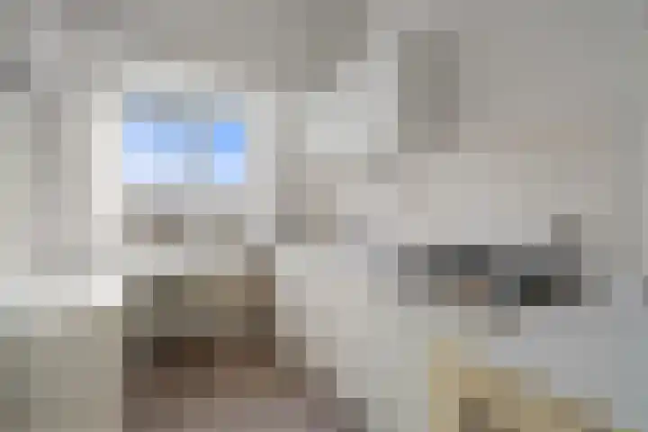 Brederoplein 3 Utrecht thumbnail 54