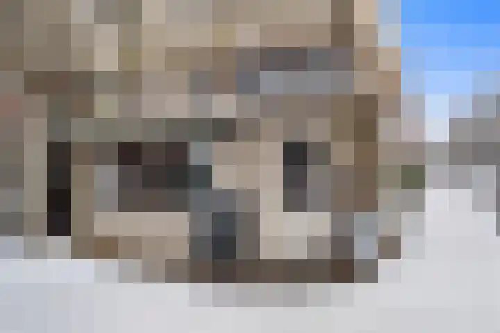 Brederoplein 3 Utrecht thumbnail 66