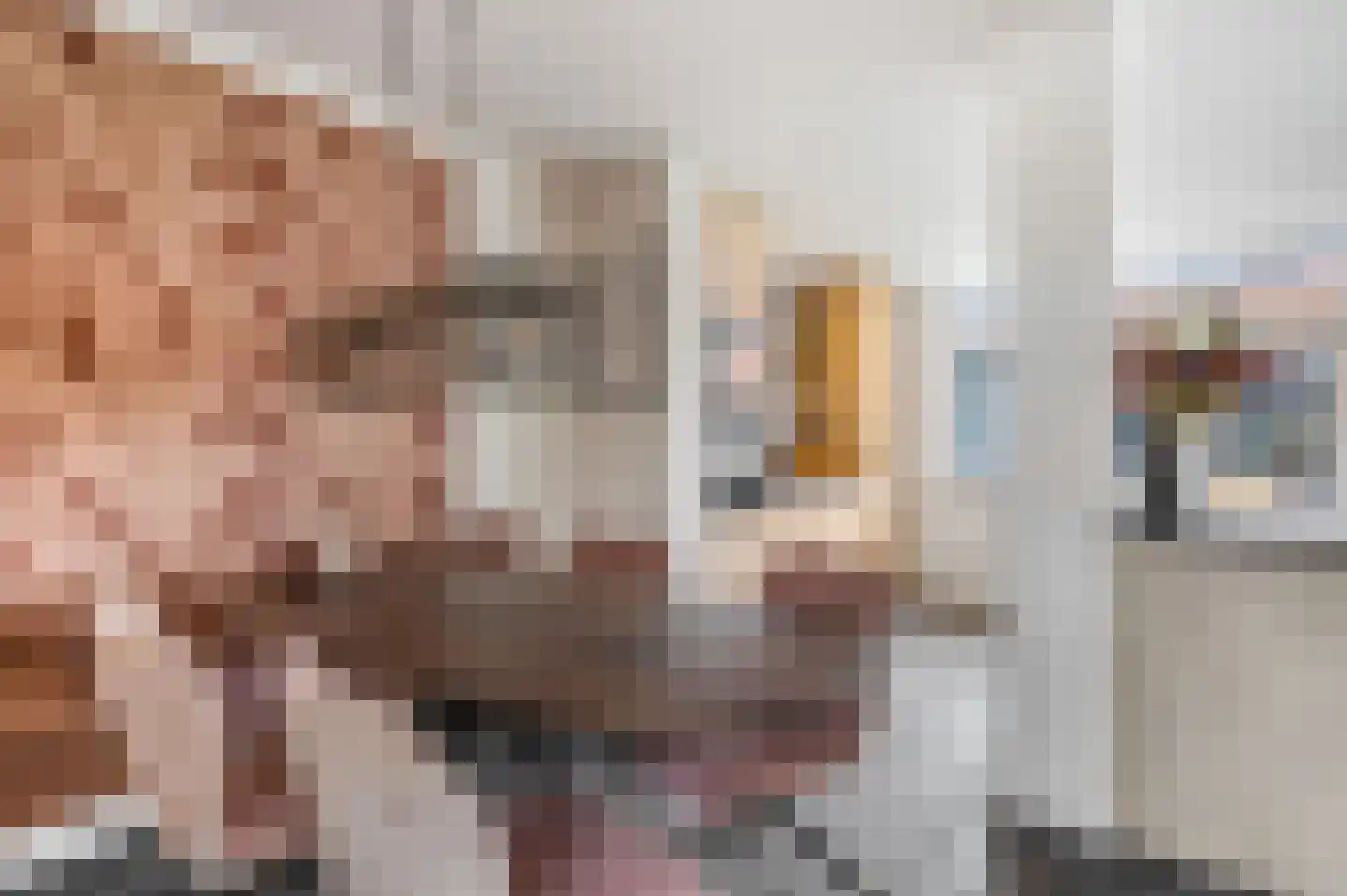 Brederostraat 10 Barneveld thumbnail 18