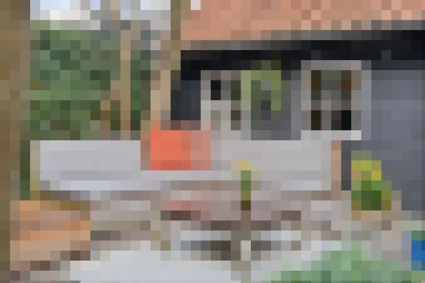 Brederostraat 107 Zwolle thumbnail 37