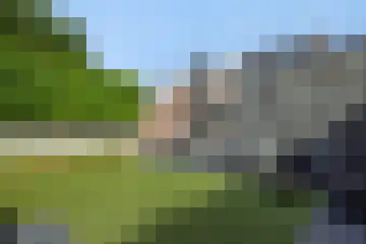 Brederostraat 11 Rosmalen thumbnail 24