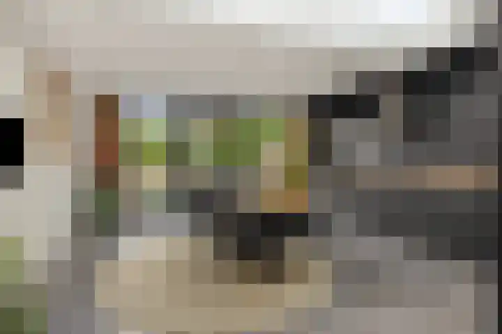 Brederostraat 11 Rosmalen thumbnail 7