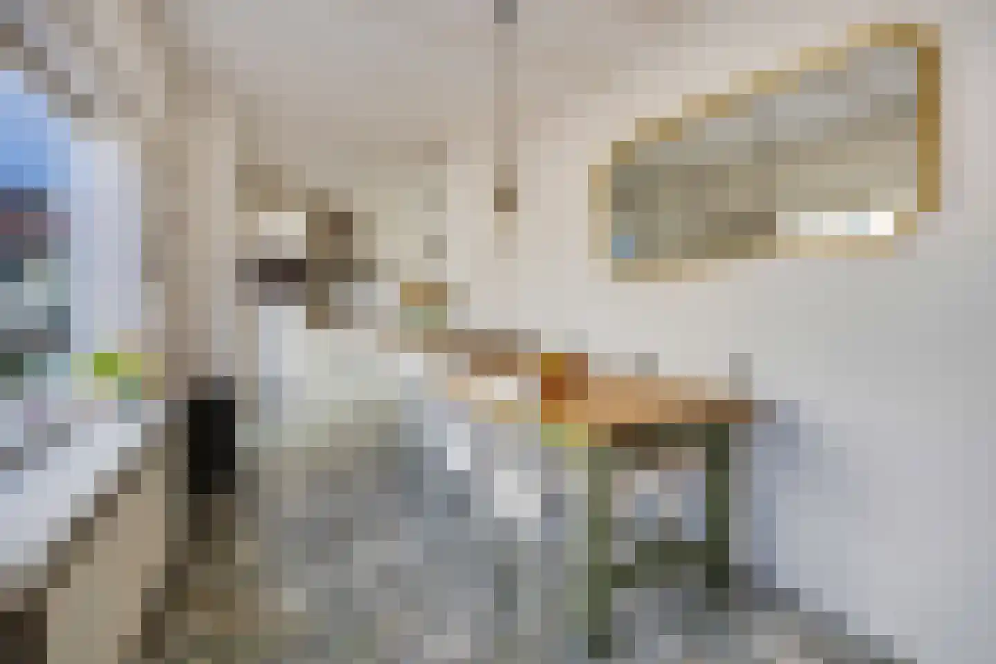 Brederostraat 17 Barneveld thumbnail 32