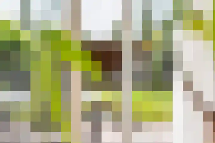 Brederostraat 24 Gendringen thumbnail 17