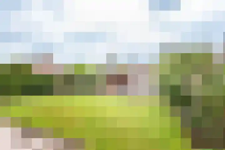 Brederostraat 24 Gendringen thumbnail 4