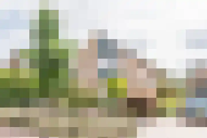 Brederostraat 24 Gendringen thumbnail 5