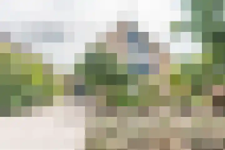 Brederostraat 24 Gendringen thumbnail 6