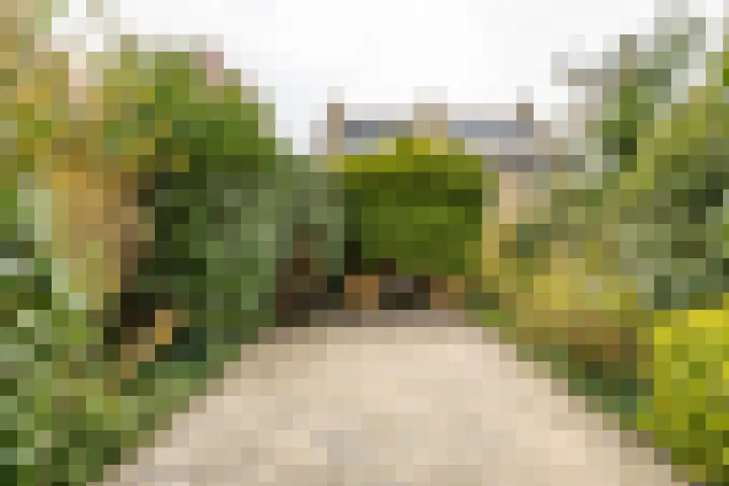 Brederostraat 24 Groningen thumbnail 36