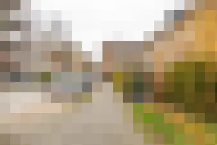 Brederostraat 24 Groningen thumbnail 39