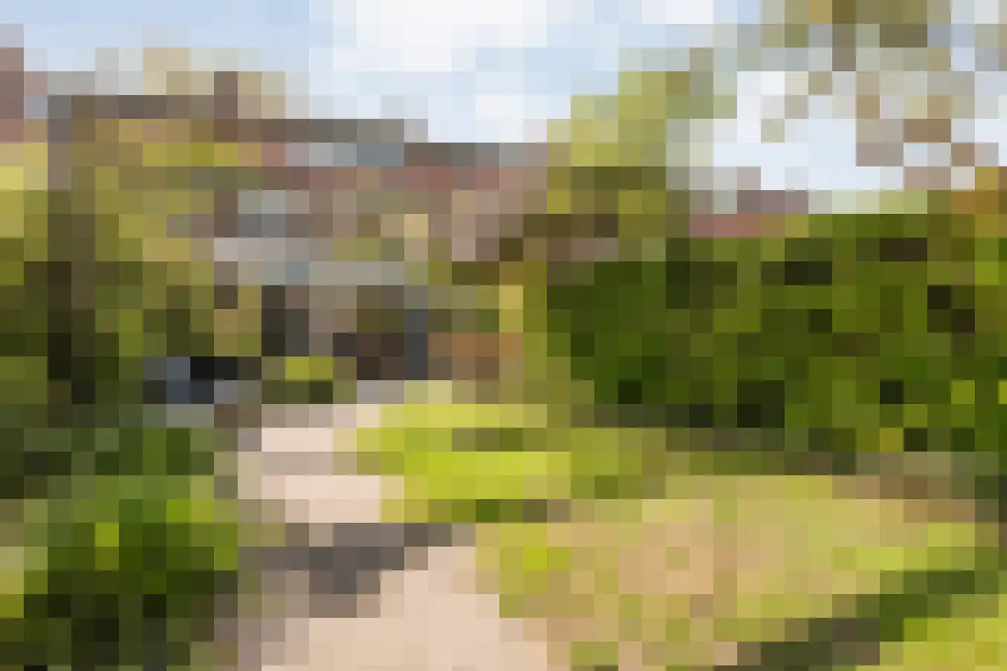 Brederostraat 25 Zwolle thumbnail 43