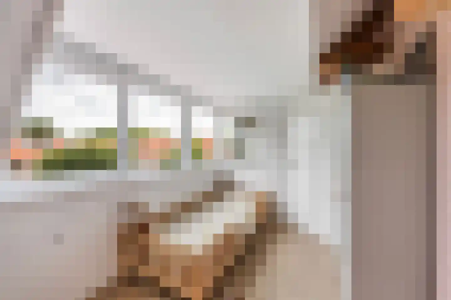 Brederostraat 29 Zwolle thumbnail 32