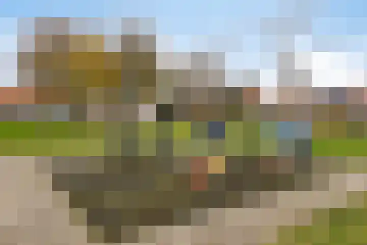Brederostraat 3 Alkmaar thumbnail 32