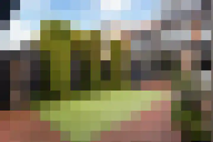 Brederostraat 3 Barneveld thumbnail 41