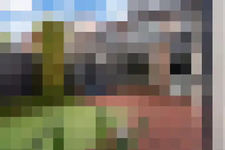 Brederostraat 3 Barneveld thumbnail 42