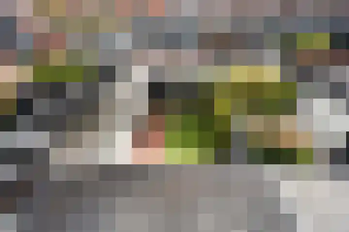 Brederostraat 3 Barneveld thumbnail 48