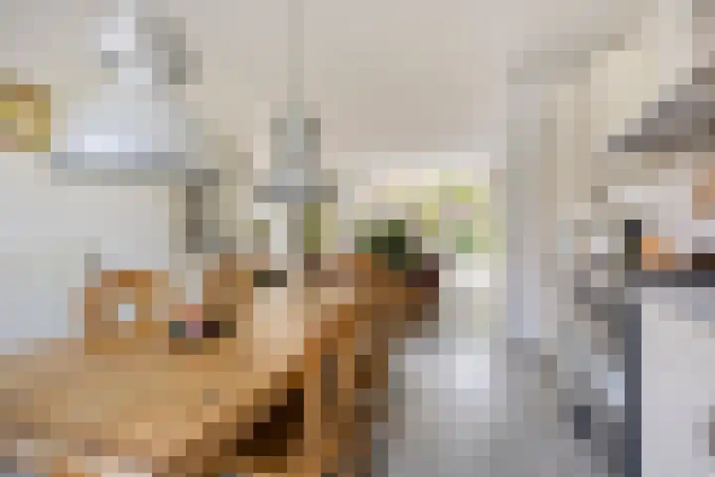 Brederostraat 3 Maarssen thumbnail 15