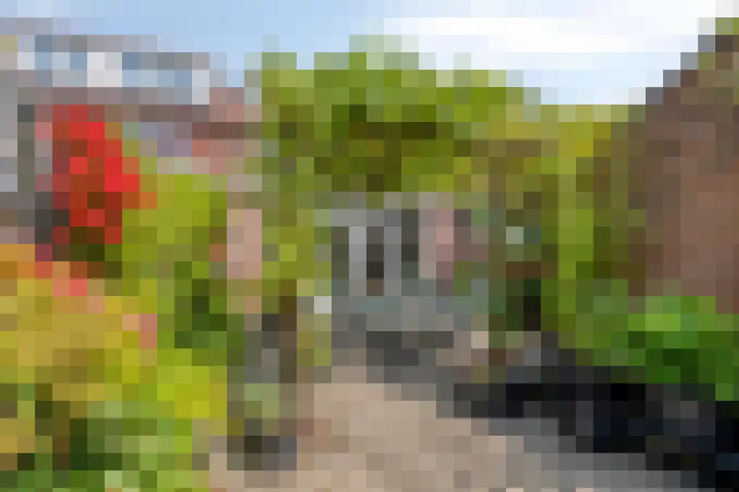 Brederostraat 3 Maarssen thumbnail 34