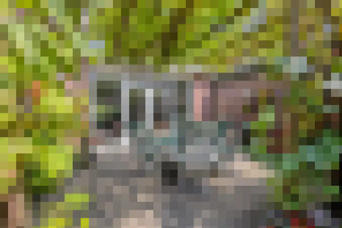 Brederostraat 3 Maarssen thumbnail 35