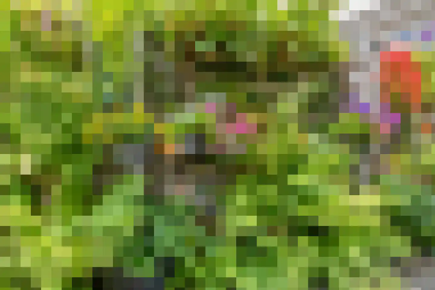 Brederostraat 3 Maarssen thumbnail 36