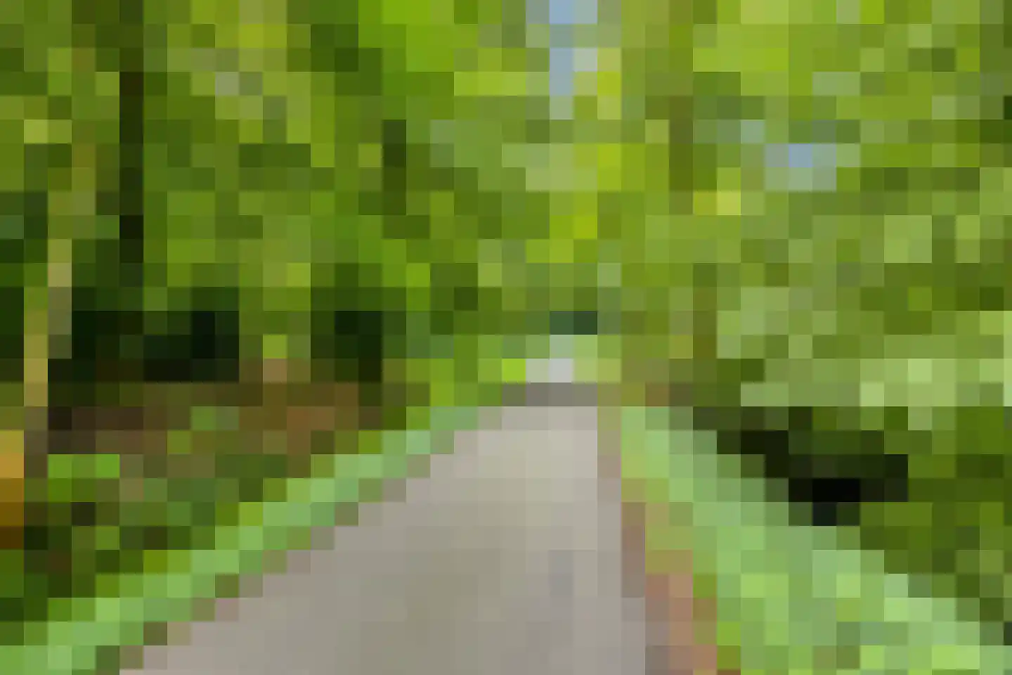 Brederostraat 3 Maarssen thumbnail 41