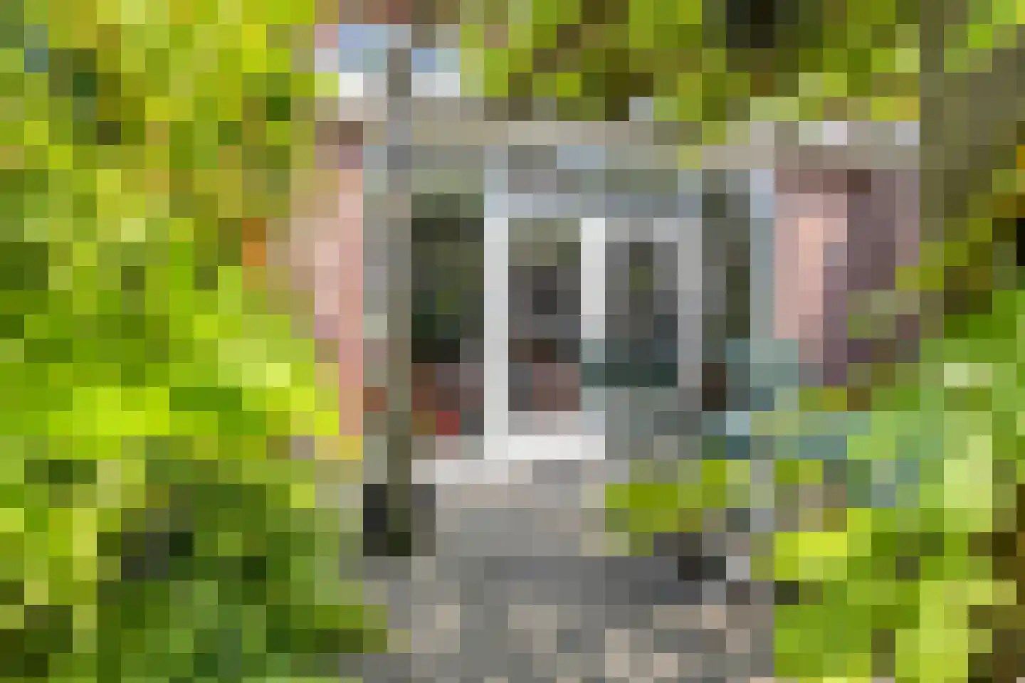 Brederostraat 3 Maarssen thumbnail 45