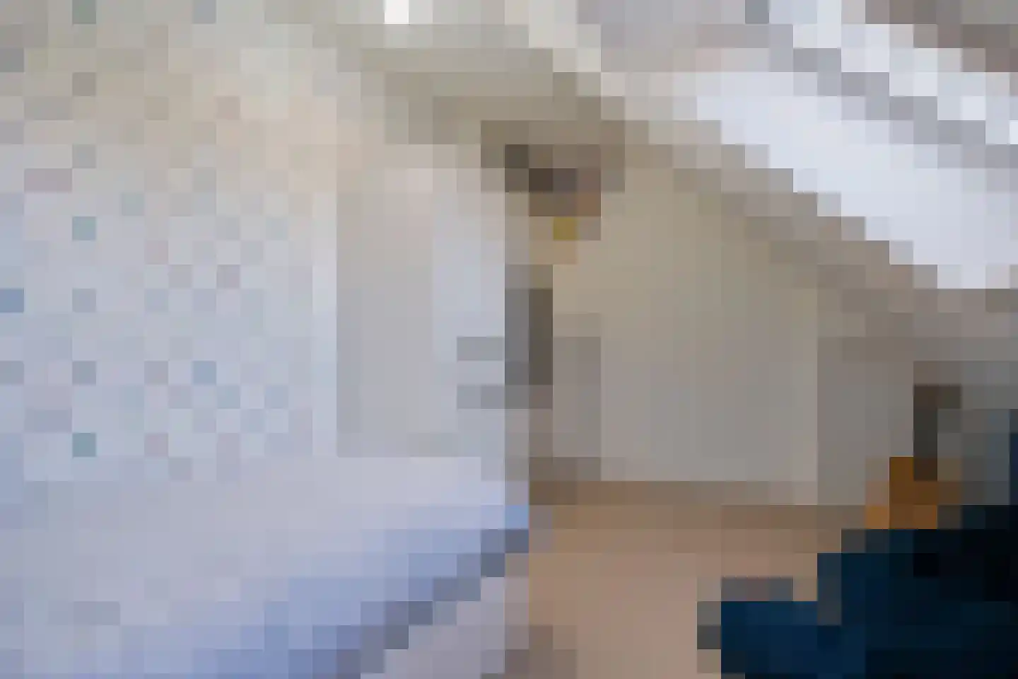 Brederostraat 4 Zwolle thumbnail 21