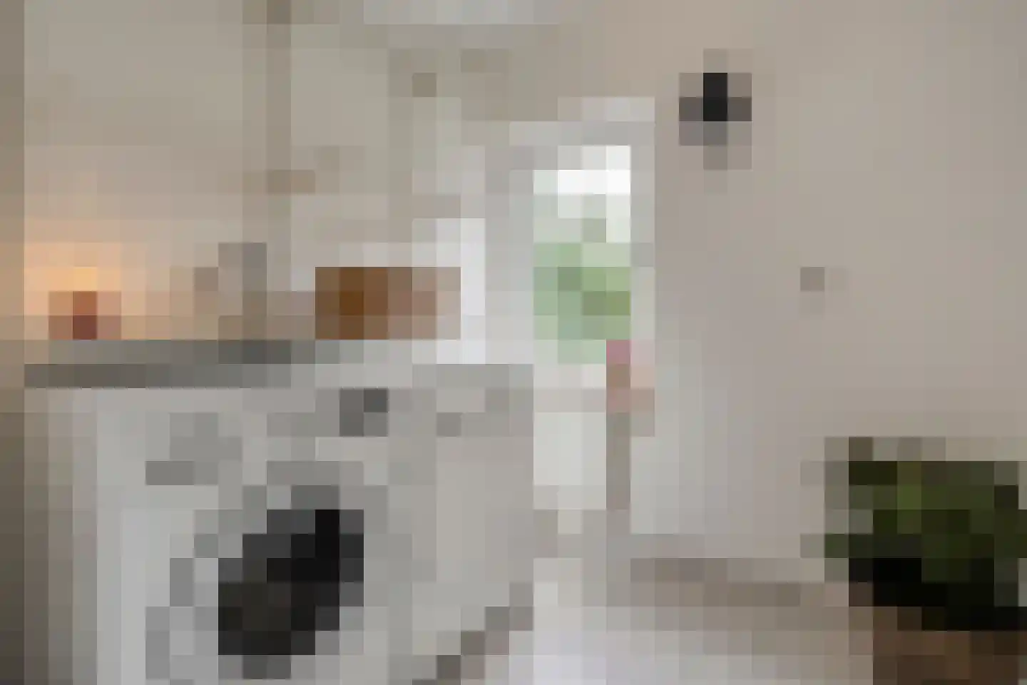 Brederostraat 4 Zwolle thumbnail 33