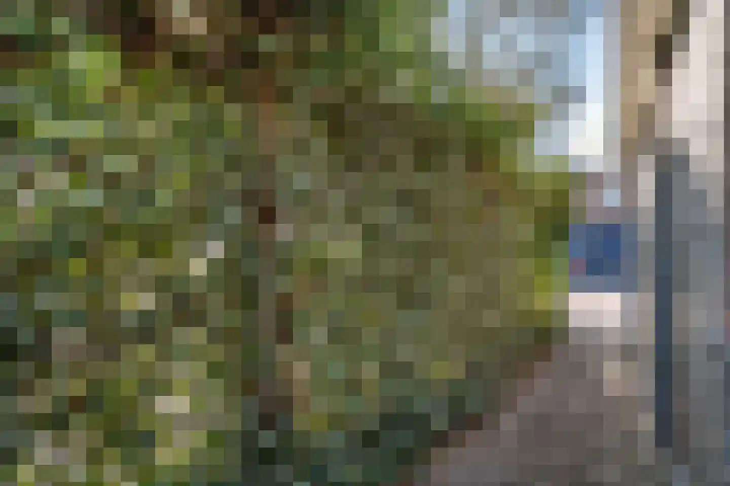 Brederostraat 4 Zwolle thumbnail 41