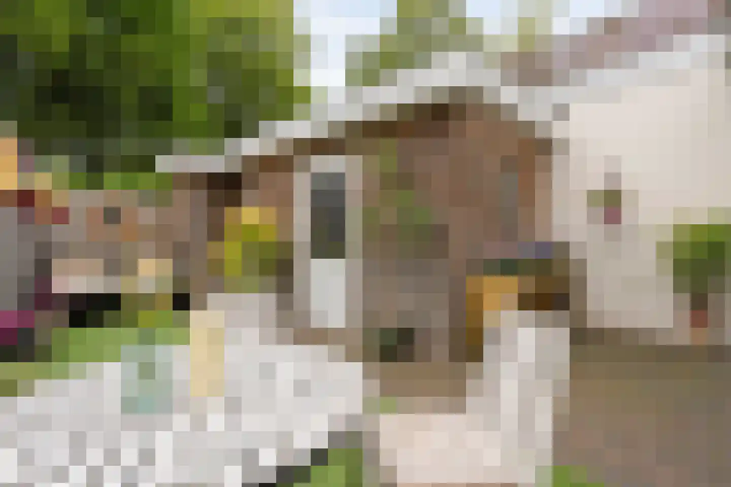 Brederostraat 4 Zwolle thumbnail 48