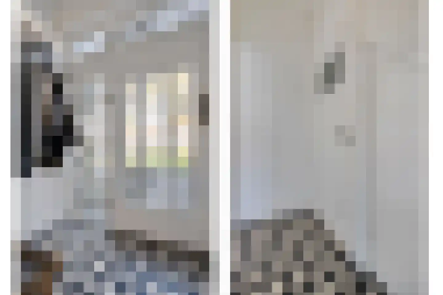 Brederostraat 4 Zwolle thumbnail 7