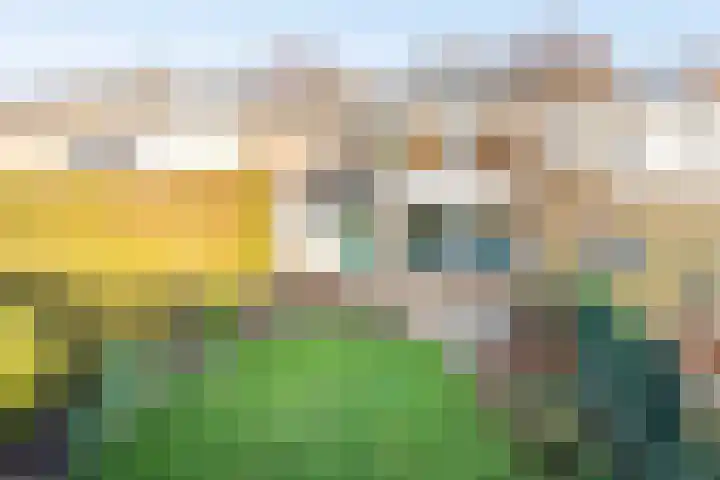 Brederostraat 43 Gendringen thumbnail 33