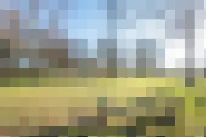 Brederostraat 43 Gendringen thumbnail 38