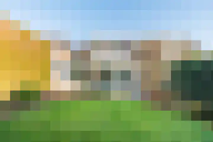 Brederostraat 43 Gendringen thumbnail 4
