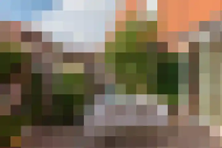 Brederostraat 5 Alkmaar thumbnail 47