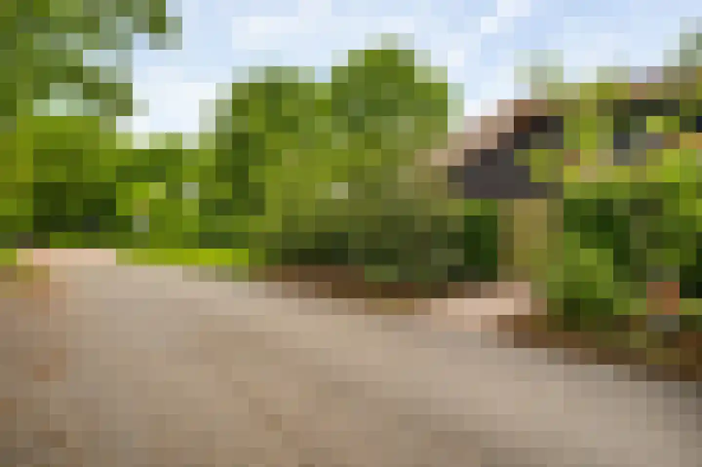 Brederostraat 50 Weert thumbnail 33